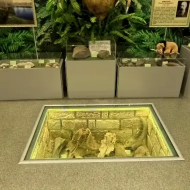 360° тур